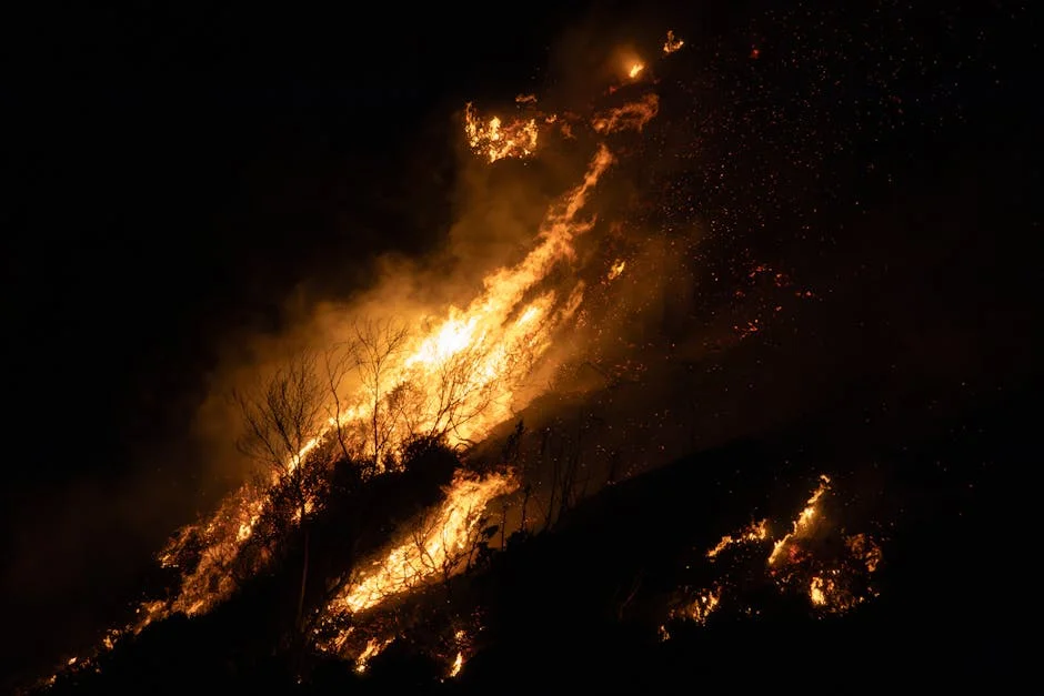 Aberta Issues Fire Safety Alert Amid Rising Risks — Economy Business