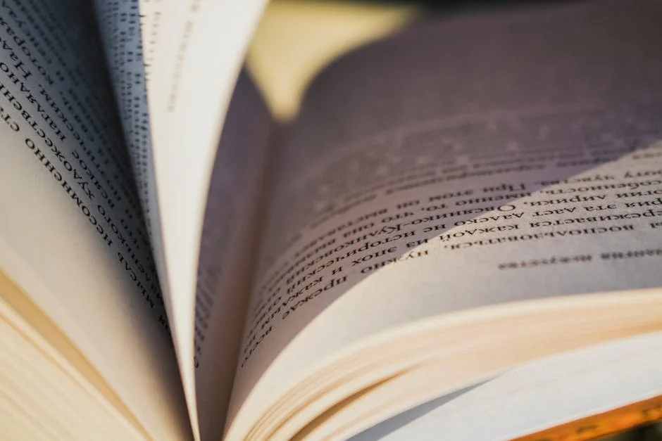 Aday Mara La Signs Contract with NBA Team Amid Rising Profile — Economy Business