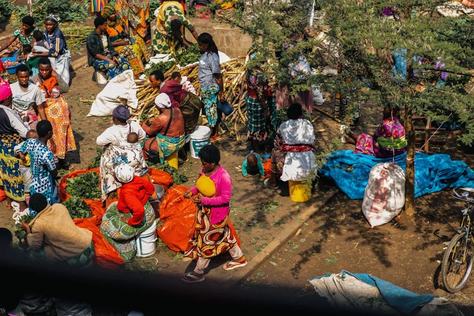 African Trade Boost Fuels Market Optimism — Economy Business