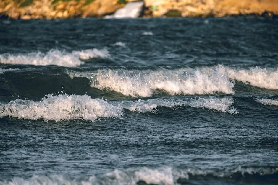 Alaska Tsunami Shatters Records — Scientists Reveal the Scale of the Surge — Agriculture Food