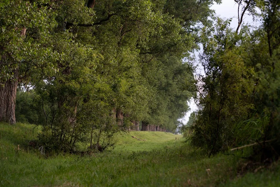 Aryna Sabalenka Saves Match Point to Claim Indian Wells Title — Economy Business