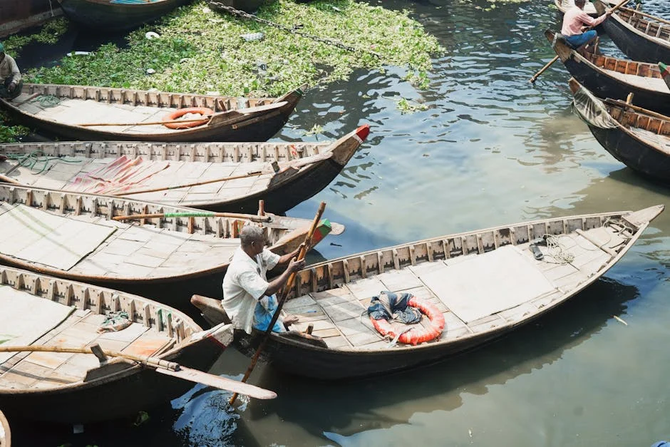 Bangladesh and New Zealand Prepare for High-Stakes Chattogram Cricket Clash — Economy Business