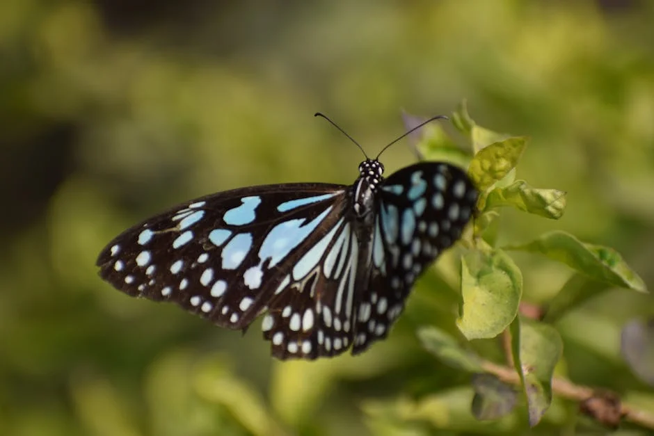 BJP Accuses YSRCP of 'Target Tirumala' Agenda - What It Means for Markets