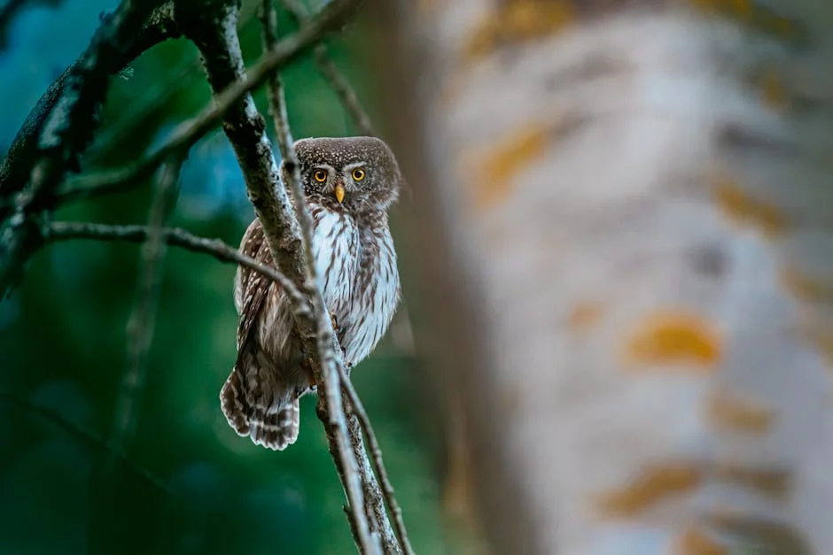 Blue Owl Capital Sparks Market Tensions Over Ormuz and Trump Links — Economy Business