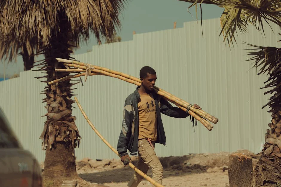 Born on the Road: Sudan's Refugee Crisis Deepens as Foreign Funding Collapses — Health Medicine