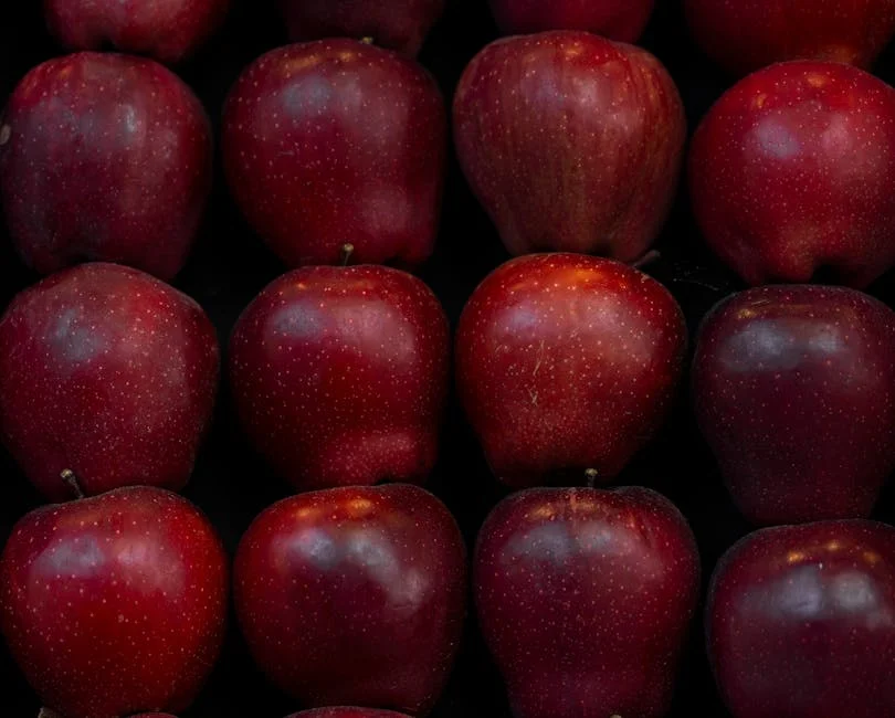 Busch Light Apple Returns With New Flavor Launch in 2024 — Economy Business