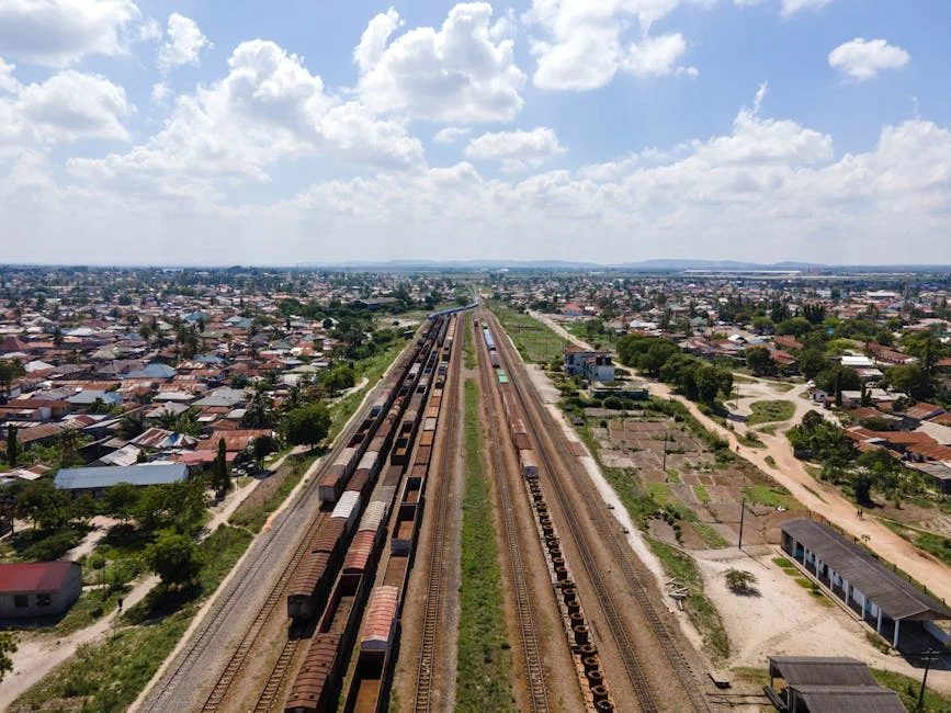 Busi Mavuso Confirms Business Coalition Pledges to Revive Johannesburg — Economy Business
