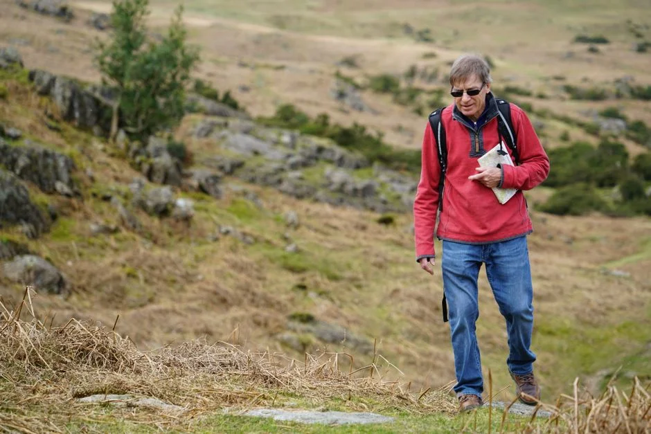 Campaigners Slam Plans to Cull Dartmoor Hill Ponies — Herd Population at Stake — Agriculture Food