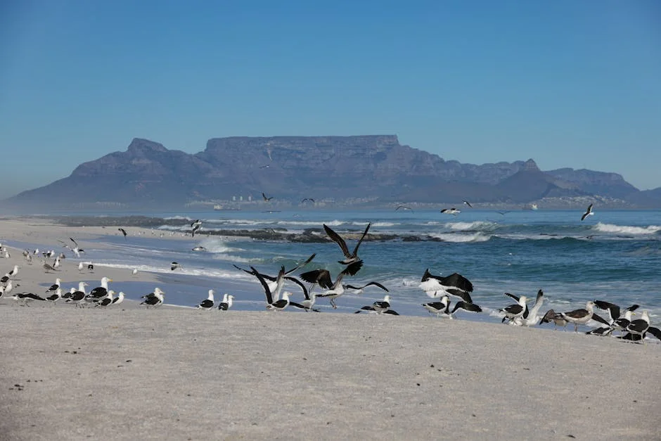 Cape Family Slams Bail Decision for Murder-Accused Cricketer