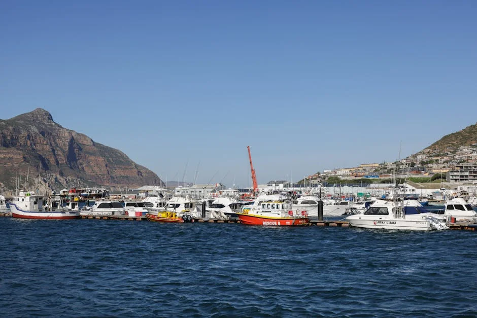 Cape Town City FC Faces Milford FC — Key Stats and Predictions Unveiled — Culture Arts