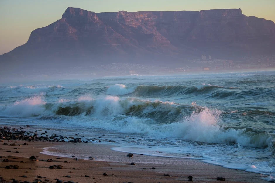 Cape Town Cracks Down on Home-Based Sellers with R800k Fines