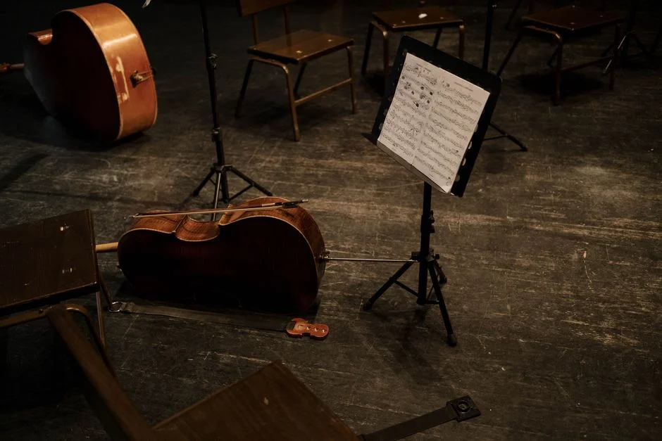 Cape Town Philharmonic Youth Orchestra Celebrates Youth Day with Special Concerts — Health Medicine