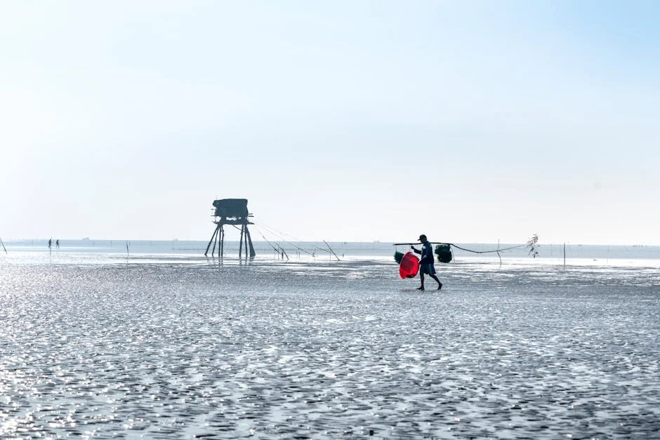 China's Fishing Fleet Slammed by South Africa: Four Vessels Seized in EEZ Dispute — Economy Business