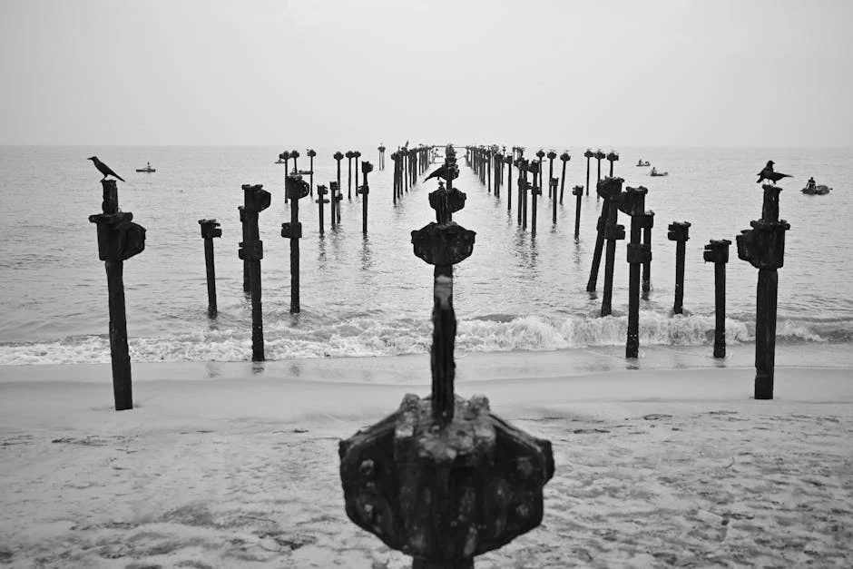 Contamination Hits Kerala's Lakes, Could Impact Local Economy — Economy Business