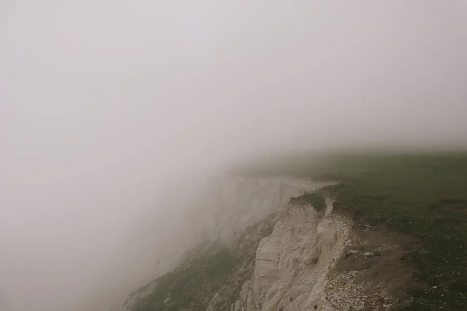 David Attenborough Reveals How South England Shaped His Legacy — Technology Innovation