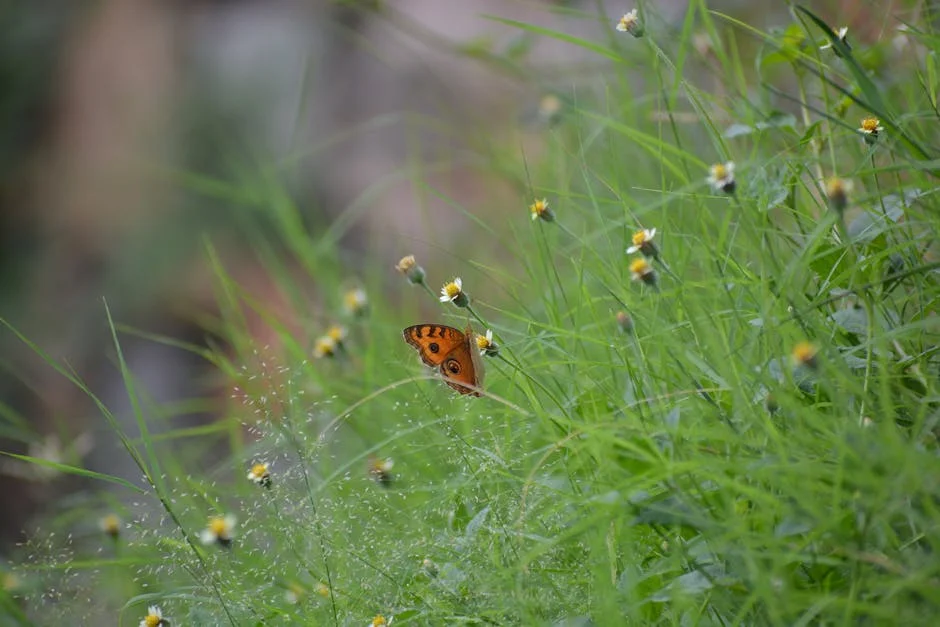 Delhi Court Grants Separatist Shabir Shah Bail — Paves Way for Release — Economy Business