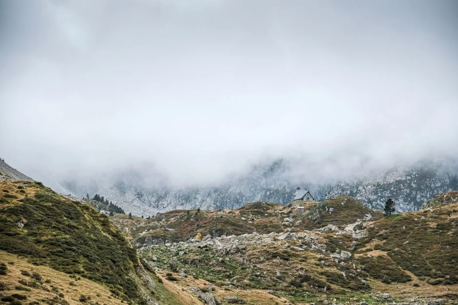 Esta Reveals Major Update - What It Means for Global Markets and Investors — Economy Business