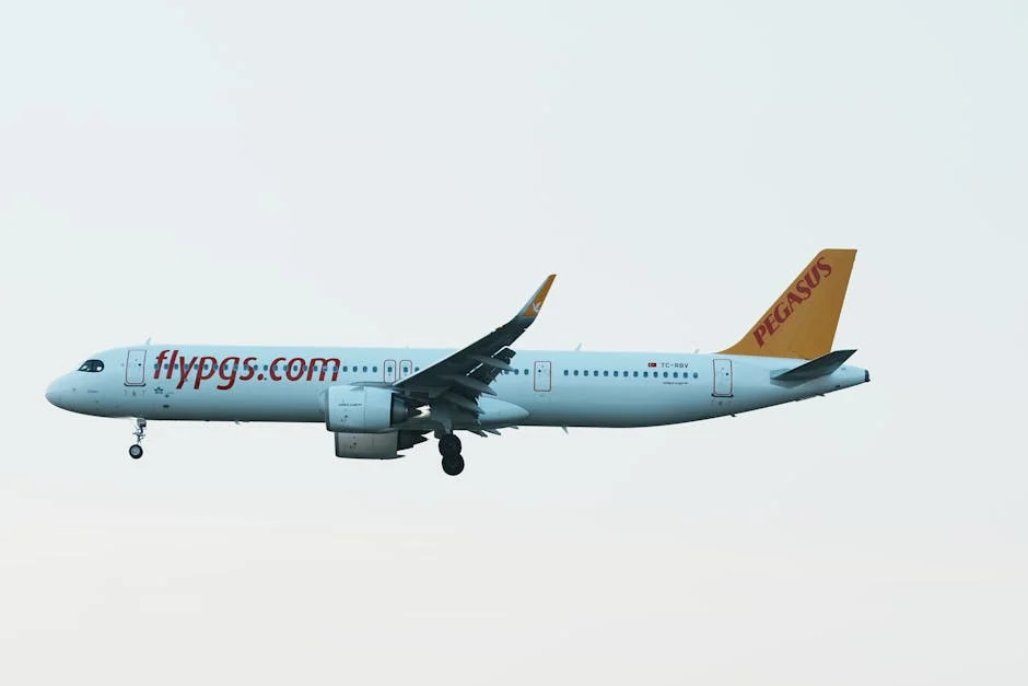 EU Court Ruling Forces Airlines to Pay More for Delays — Education