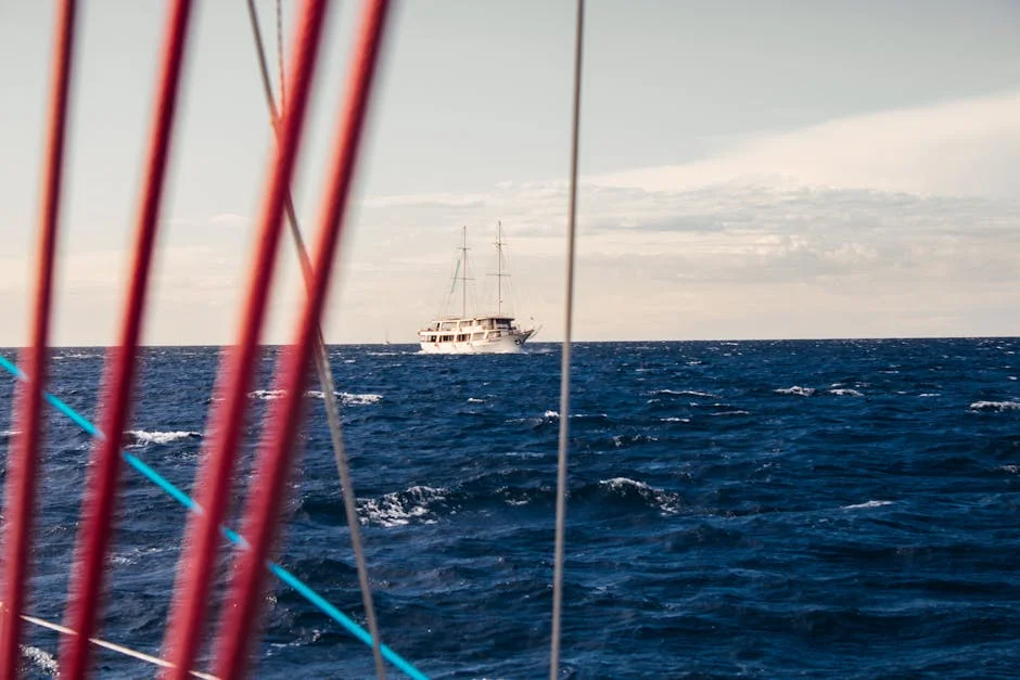 Sparks Life Worldwide