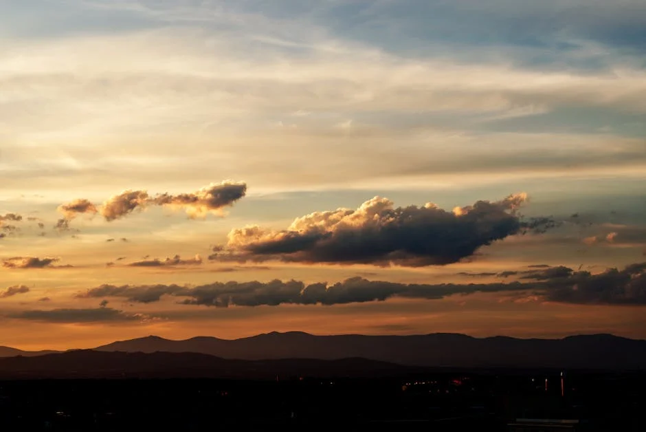 Farioli Reveals Desire to Keep Alarcón at Porto - Major Impact on European Soccer Markets — Economy Business