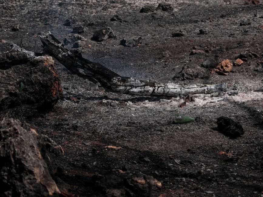 Fire at Gujarat Chemical Plant Injures 16 Workers — Emergency Response Underway — Economy Business