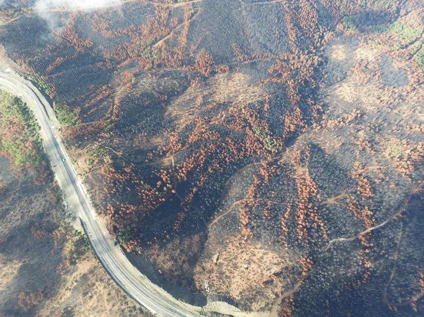 Fire Engulfs Caramulo Mountains, 130 Crews Deployed — Economy Business