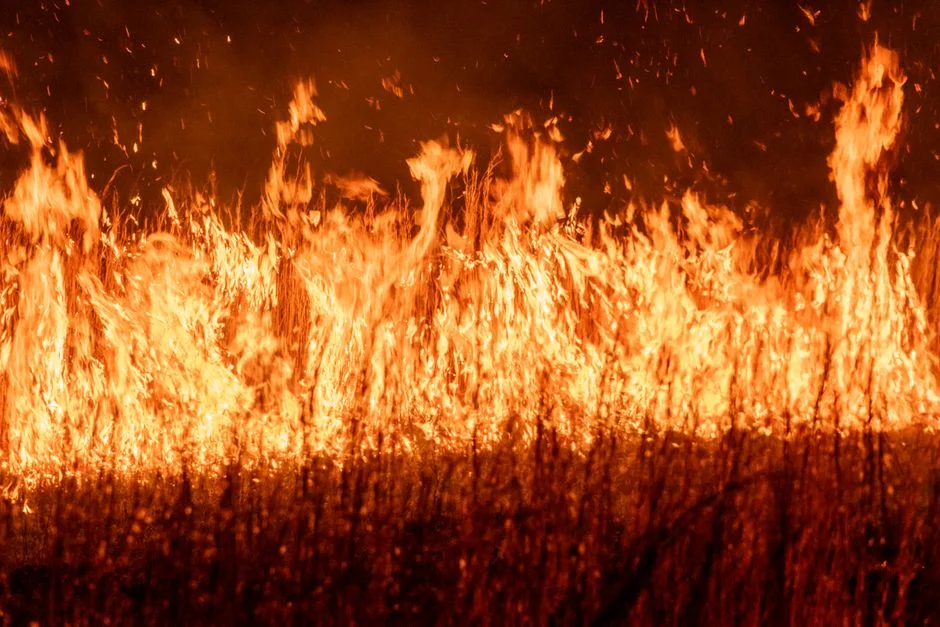 Fire Engulfs Dominican Republic Beach Resort — Dozens Evacuated