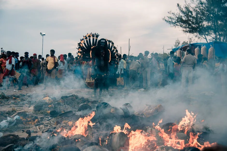 India Strengthens Ties with Africa — Jaishankar Highlights Stability — Economy Business