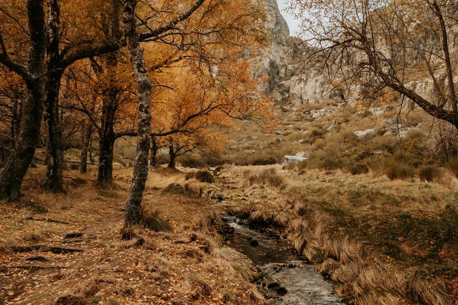 Iran Claims Responsibility for Strikes on Israel and Bahrain US Bases — Economy Business