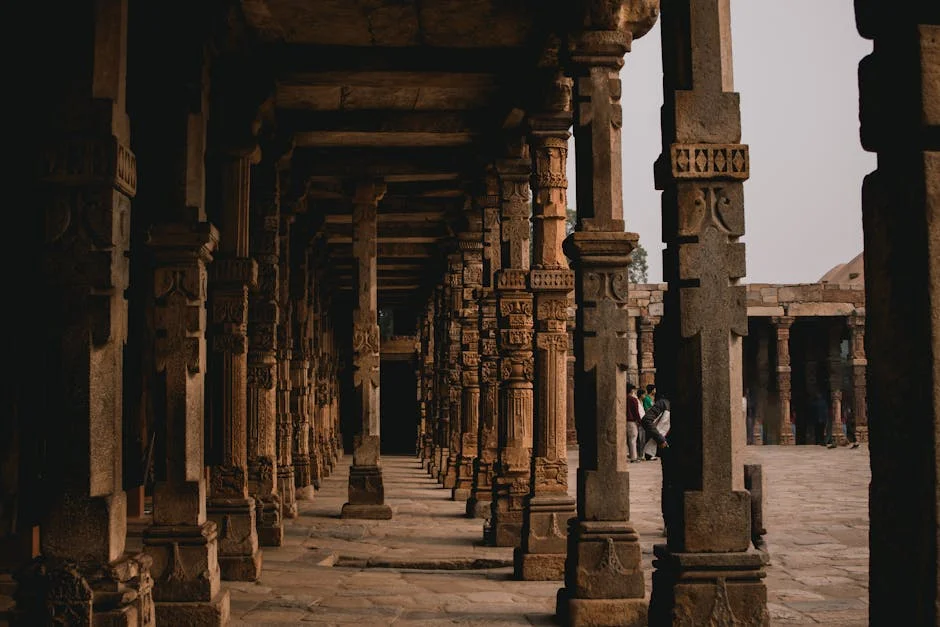 Jodhpur Weather Disrupts Bird Migration Patterns — Economy Business