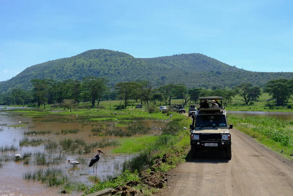 Kenya Court Halts US Plans for Ebola Quarantine Centre – What Happens Next? — Politics Governance