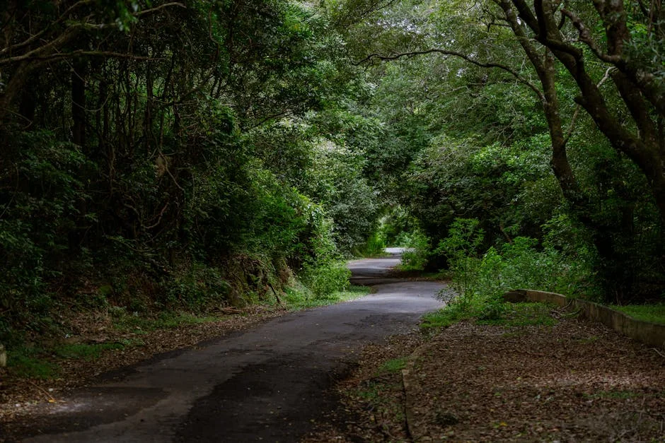 Kodagu Secures 3rd Place with 92% II PU Pass Rate — Economy Business