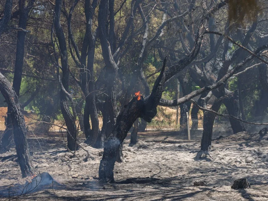 Lebanon Confirms 10 Dead in Israeli Strikes, Including Paramedics — Health Medicine