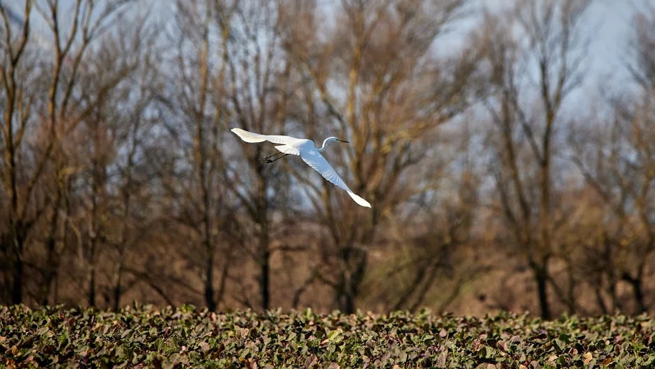 Leverkusen's Recipe for Success Fizzles as Late Penalty Saves Arsenal in Champions League