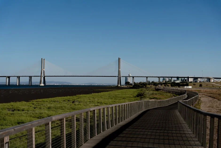 Lisbon's Pátio da Quintinha Faces Eviction Fears Again — Economy Business