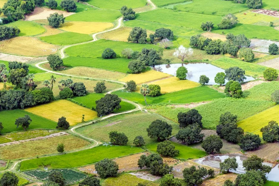 Minister Launches ₹27.76 Crore Projects in Andole — Politics Governance