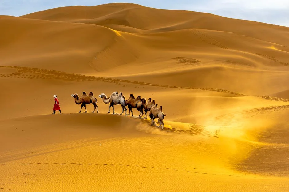 Morocco Promotes Tourism in Western Sahara Amid Control Concerns — Politics Governance