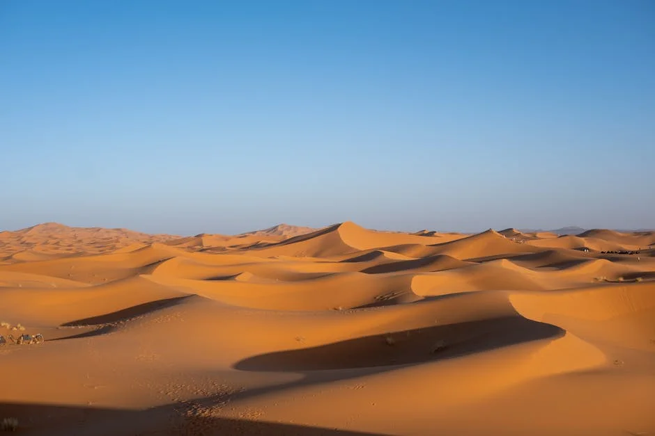 Morocco Surpasses South Africa as Africa's Leading Industrial Economy