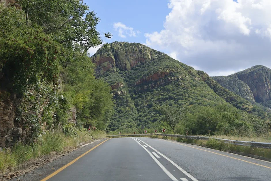 Mpumalanga Commissioner Accuses Officials of Interference in Policing — Economy Business