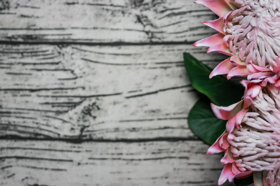 Nadine De Klerk Bags R3.77 Million in The Hundred Auction Windfall - Proteas Women Star Shines Bright