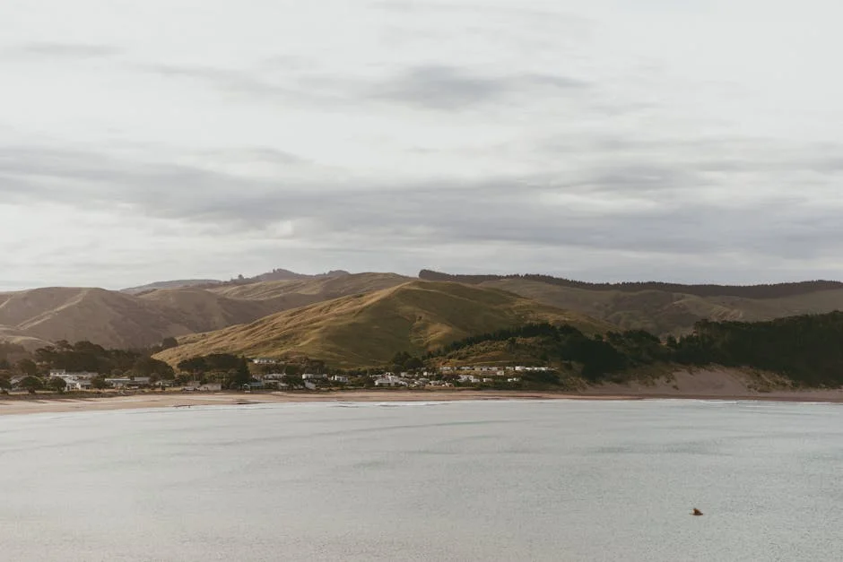 New Zealand Launches 1,000 Working Holiday Visas for Indians — What It Means — Economy Business