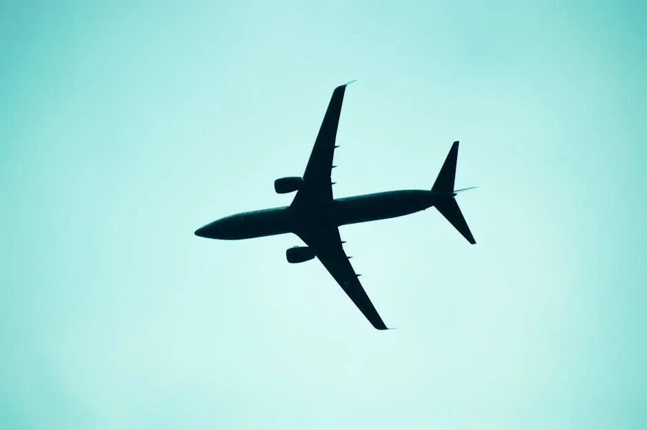 Nigeria Considers Flight Restrictions Amid Ebola Outbreak in Africa — Politics Governance