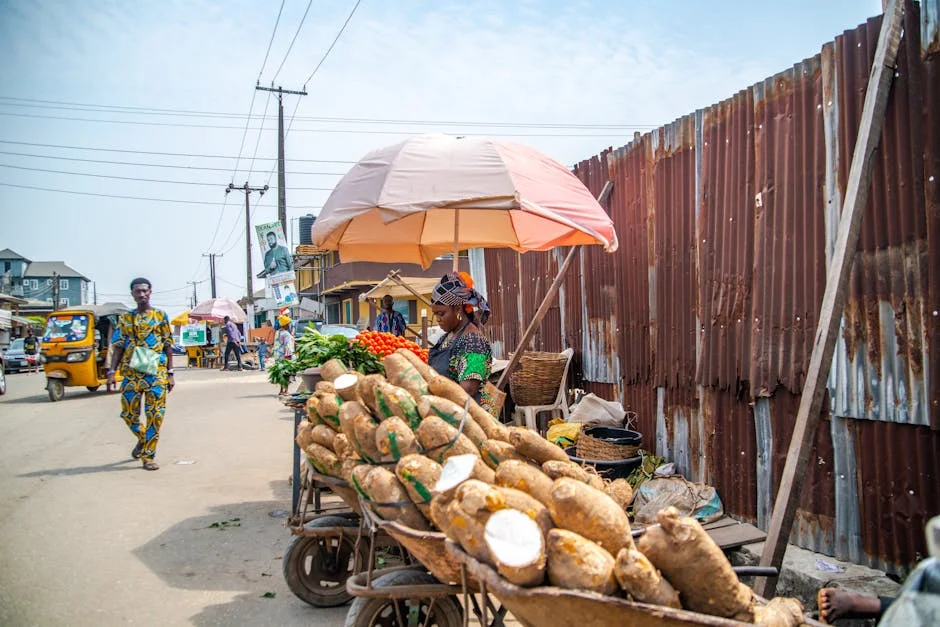 Nigeria's Naira Surges on $1.98 Billion Weekly FX Turnover — Economy Business
