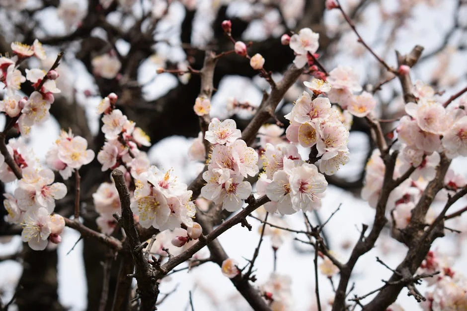 Nuno Baltazar Unveils Stunning Collection at Luís Carvalho Festival: Global Fashion Impact