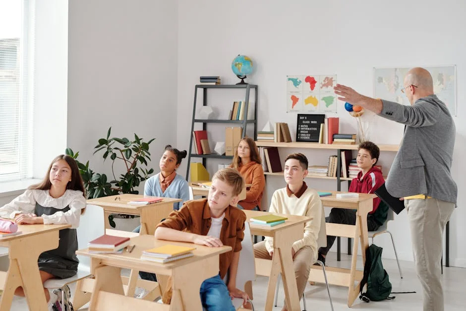 OECD Study Reveals Portuguese Teachers Have Top Pedagogical Knowledge — Economy Business