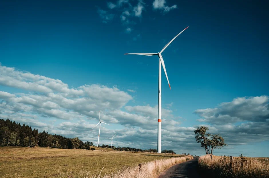 OVO Energy Confirms Takeover Plan to Calm Customer Panic — Environment Nature