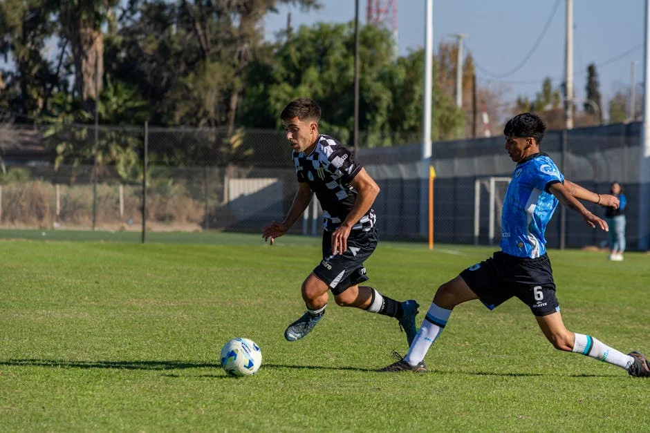 Pacheco Pereira Slams Ventura Over Controversial Policy at Debate — Economy Business