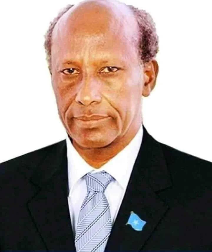 Patriotic Alliance Gains Ground in Eastern Cape as IFP Strengthens in KZN