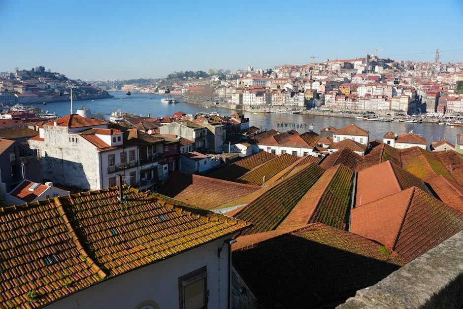 Porto Beats Alverca 1-0: Bednarek’s Impact Defined the Match — Economy Business