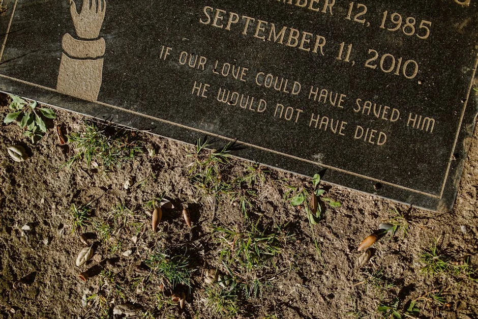 Portugal Hosts Rosalía Tribute with Giant Manto at Vasco da Gama — Economy Business